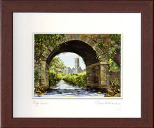 Load image into Gallery viewer, Eye View