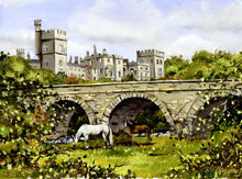 Load image into Gallery viewer, Lismore Castle