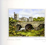 Load image into Gallery viewer, Lismore Castle