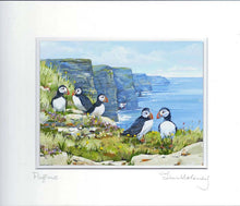 Load image into Gallery viewer, Puffins