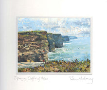 Load image into Gallery viewer, Spring, Cliffs of Moher