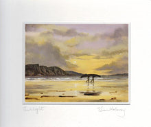 Load image into Gallery viewer, Twilight