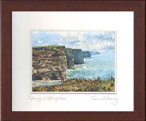 Spring, Cliffs of Moher