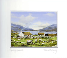 Load image into Gallery viewer, Spring Lambs
