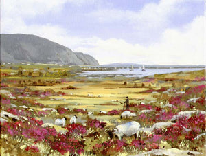Sheep in the Heather
